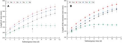 Stem elongation and gibberellin response to submergence depth in clonal plant Alternanthera philoxeroides